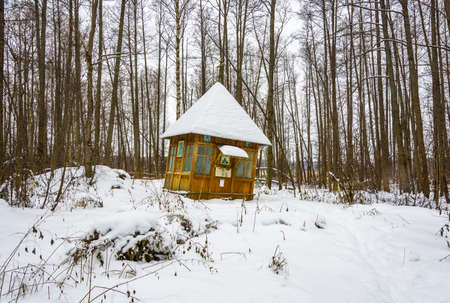 Holy spring of great Martyr Paraskeva in the winter woods. Bogatishi village, Palekh district, Ivanovo oblast, Russia.の写真素材
