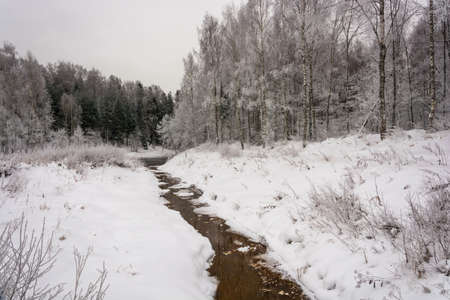 Beautiful winter landscape with a small river with white shores.の写真素材