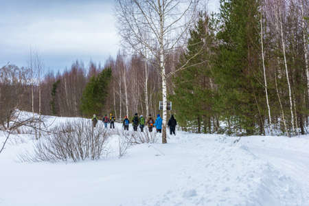 A small group of tourists passing through the snowy woods in the winter.の写真素材