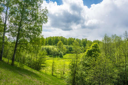 Beautiful landscape in spring day in the Central part of Russia.の写真素材