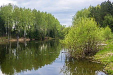 Beautiful water landscape reflected in the water birch trees in spring day.の写真素材