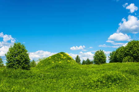 The big green hill with yellow flowers on the background of beautiful cloudy sky.の写真素材