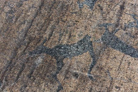 A petroglyphs are ancient drawings on a large stone, Karelia, Russia.の写真素材