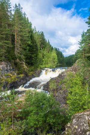 The rapid Kivach waterfall on a summer day, Karelia, Russia.の写真素材