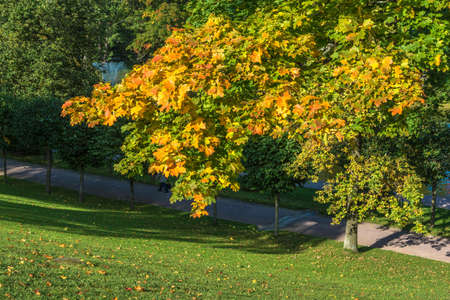 Beautiful autumn area on a Sunny day in the Park of Peterhof, Russia.の写真素材