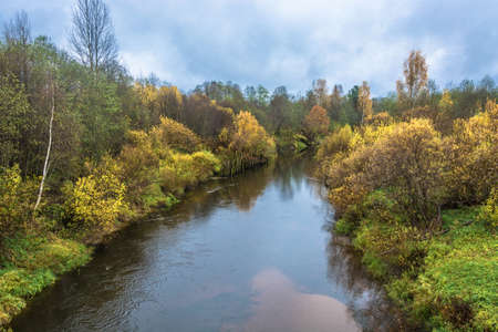 A small river in the decoration of the yellow autumn trees October day.