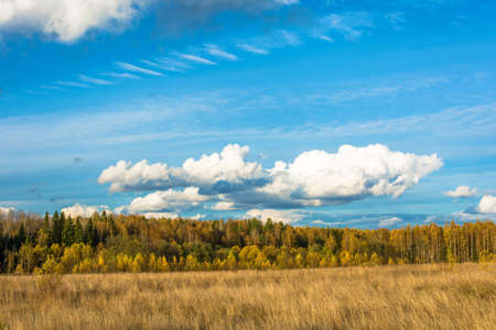 Autumn landscape with beautiful clouds on a blue background in an October day.の写真素材