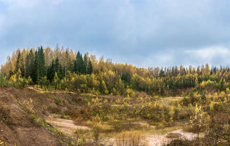 Bright Golden autumn in the Kostroma region in October day.の写真素材