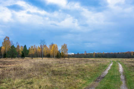 Beautiful autumn landscape in October day in the Central part of Russia.の写真素材