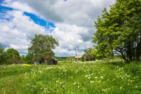 Beautiful summer rural landscape on a cloudy day, Russia.の写真素材