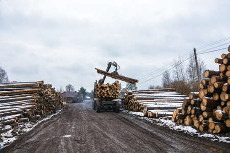 Village Bushmanova, Ivanovo oblast, Russia - November 18, 2017: Loading timber on truck, November 18, 2017, village Bushmanova, Ivanovo oblast, Russia.のeditorial素材
