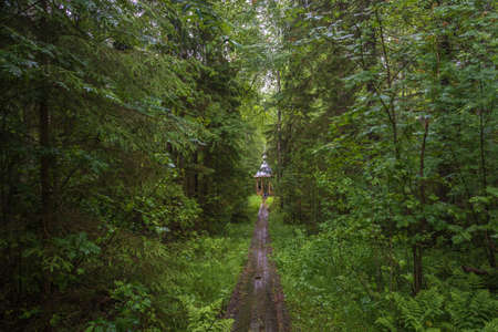Sacred Spring in Honor of St. Nicholas near the village of Panovo, Antropovsky district, Kostroma...