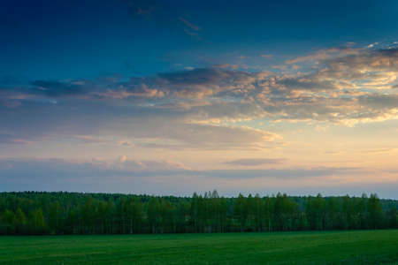 Beautiful evening landscape with bright clouds and green forest and field.の写真素材