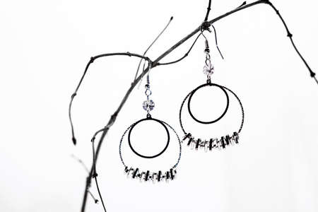 Round large metal earrings on a dry branch without leaves on a white background.の写真素材