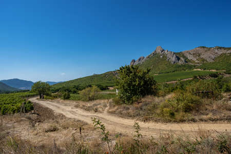 Beautiful Crimean landscape with mountains and vine plantations on a summer sunny day, Crimea.