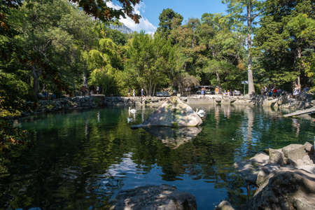 Yalta, Crimea - 09/04/2019: A small artificial lake with white swans in the Vorontsov park.の写真素材