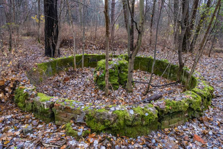 An old abandoned fountain made of bricks covered with green moss and trees sprouted in the middle.