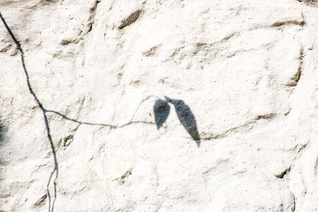 A contrasting dark shadow on a white background of a stone wall on a sunny day. のeditorial素材