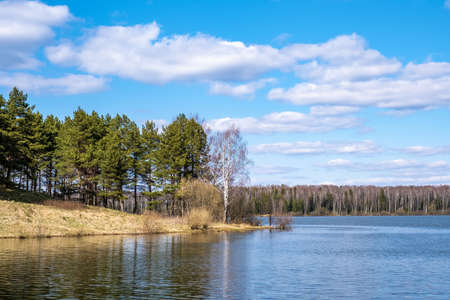 Spring landscape on the Uvodsky reservoir with a pine grove and a birch forest on a sunny day, Russia.の写真素材