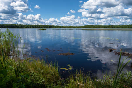 Forest lake with white cumulus clouds reflecting in the water on a summer sunny day.