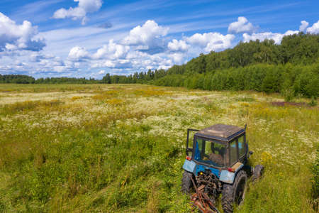 Wheeled tractor on a large field with tall white and yellow flowering grass on a summer day, Russia....