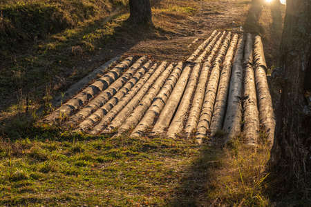 Wooden bridge made of large logs on a forest road on a Sunny autumn day.