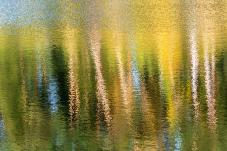 Abstract background of tree trunks blurred on the river surface on a Sunny autumn day.