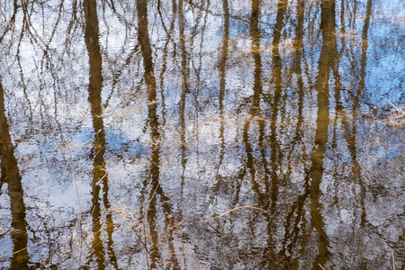 Reflection of the blue sky, clouds and tree trunks in the water. An abstraction.