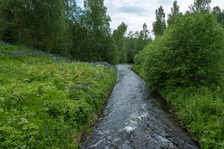 Fast water in a narrow channel against a background of white and purple flowers and dense green...