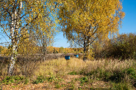 Autumn landscape with two blue beehives standing under tall birches on a sunny day, Russia.