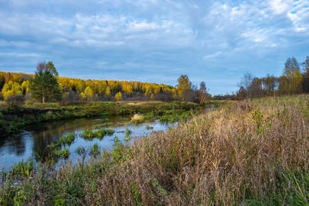 Autumn landscape with a small river and a bank with thick, tall and dry grass, Russia.