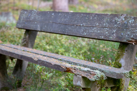 an old, dilapidated bank with moss in the woods.の写真素材