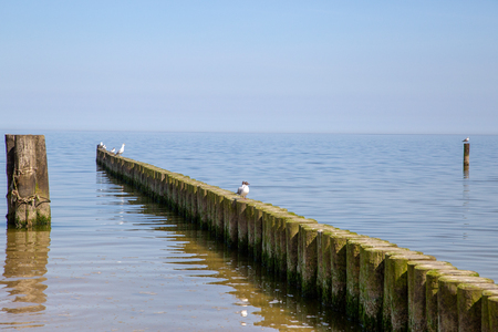 Groynes in the Baltic Sea with small waves in the seaside resort of Zempin on the island of Usedomの写真素材