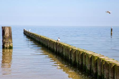Groynes in the Baltic Sea with small waves in the seaside resort of Zempin on the island of Usedomの写真素材