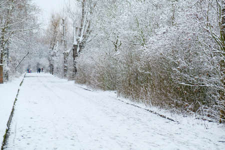 A wonderful snowy road in winter with lots of snowの写真素材