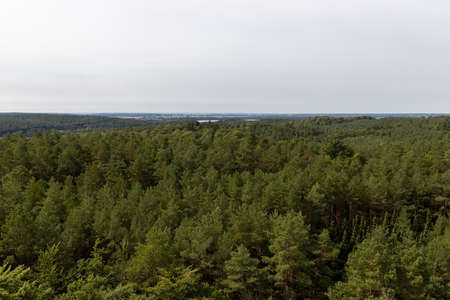 The view from the tree top walk towards SwinemÃ¼nde / Wollin in Poland on the island of Usedom in...