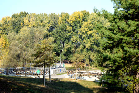 A park in Turin that prepares for winter and is coloredの写真素材
