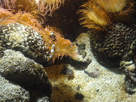 seabed nowの写真素材