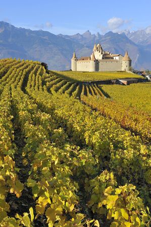 Chateau among grape vines, Switzerlandの写真素材