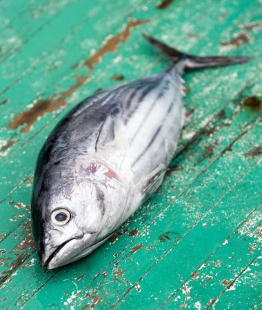 Tunafish (dogtooth tuna) on boat, Maldivesの写真素材