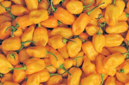 Yellow habanero chili peppers at a mexican market