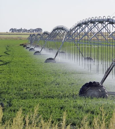 Mobile irrigation machine in action spraying water on crops の写真素材
