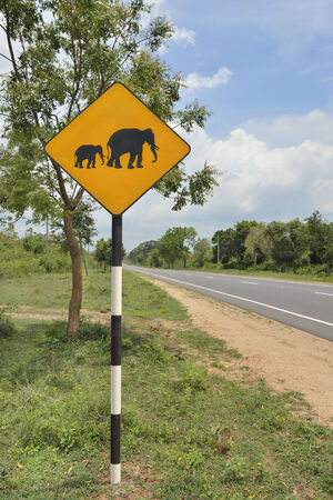 Beware elephants sign on open country roadの写真素材