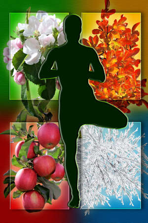 Female yoga figure against collage of pictures representing four seasons of the year  Be healthy and sporty all year concept の写真素材