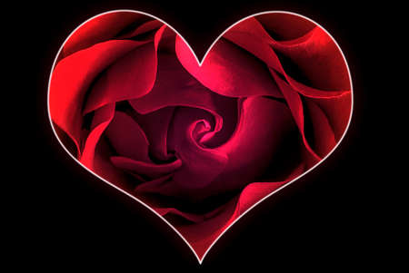 A rose with heart symbol from petal in center の写真素材