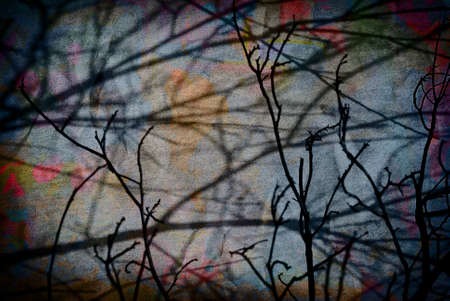 Shadow of branches on wall in the nightの写真素材