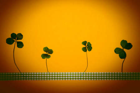 4 fourleaved clovers pressed on yellow backgorund with ribbon.の写真素材