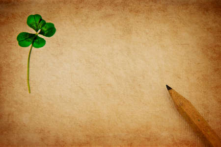 Pressed fourleaved clover on aged parchment paper with wooden pencil.の写真素材