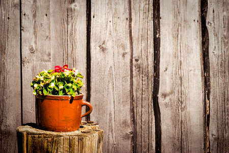 Flowers in clay pot on wooden background.の写真素材
