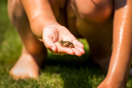 Young child holding a green frog in hand.の写真素材